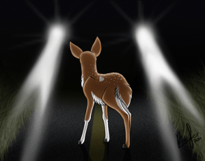 deer_in_the_headlights_by_clubpenguinsandwich-d3l9bsx