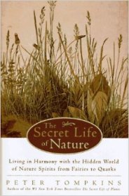 51XH32M8WQL._SY344_BO1,204,203,200_