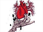 skeleton-hand-holding-anatomical-red-heart-free-tee-design-s