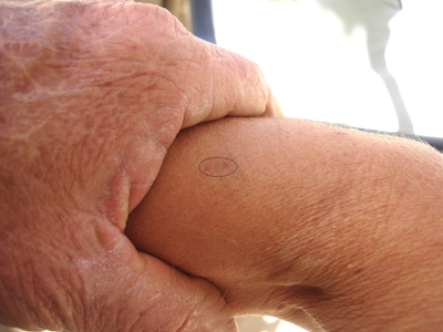 2nd taser w oval copy copy