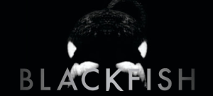 Screen Shot 2015-07-16 at 10.30.19 AM