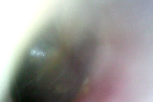 Photo on 4-7-19 at 11.29 AM #2.jpg