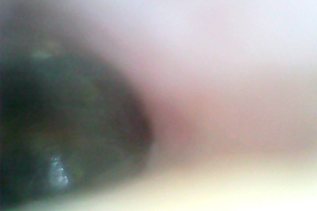 Photo on 4-7-19 at 11.29 AM