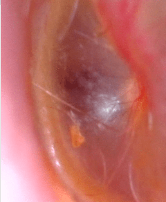 Wires 2019-06-26 at 7.40.47 AM.png