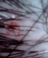 Microwave Shot 2019-08-06 at 8.13.13 AM.png