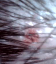 Microwave Shot 2019-08-12 at 9.39.51 AM.png