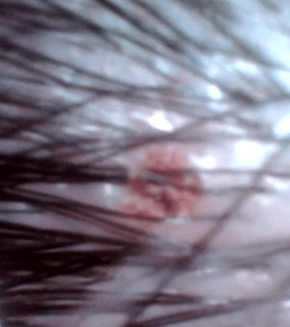 Microwave Shot 2019-08-12 at 9.39.51 AM.png