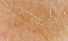 Screen Shot 2019-08-12 at 4.02.18 PM sm.png