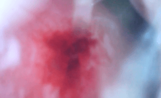 Screen Shot 2019-08-12 at 4.25.51 PM.png