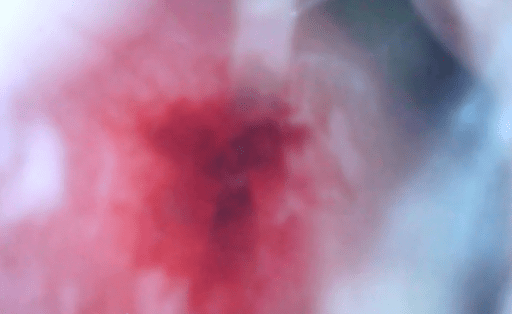 Screen Shot 2019-08-12 at 4.25.51 PM.png