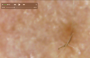 Chin ecosystem 2020-02-28 at 9.41.02 AM copy.png