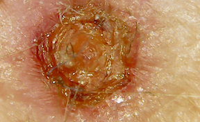 Screen Shot 2020-02-22 at 12.31.06 PM 4w.png