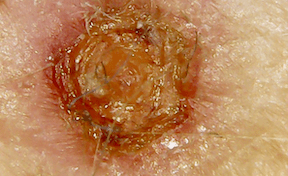 Screen Shot 2020-02-22 at 12.31.06 PM 4w.png