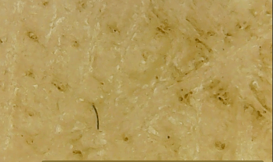 Screen Shot 2020-02-28 at 9.29.48 AM.png