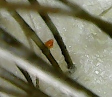 Photo on 1-27-20 at 8.59 AM.jpg