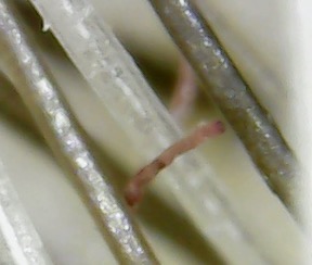 Photo on 2-12-20 at 8.40 AM #3 4i.jpg