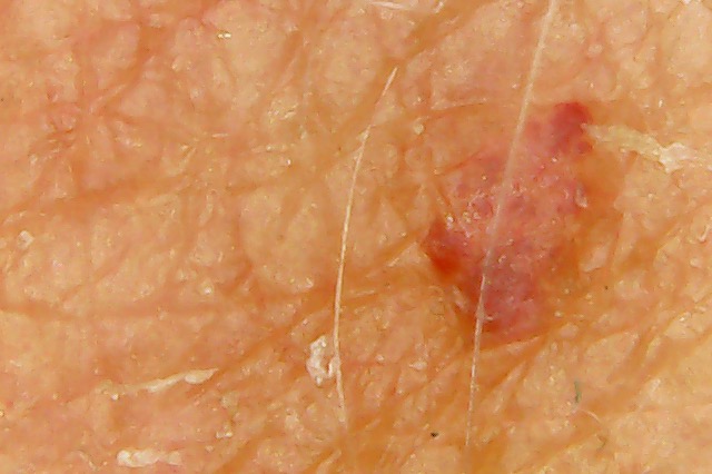 Photo on 3-10-20 at 11.05 AM #2.jpg