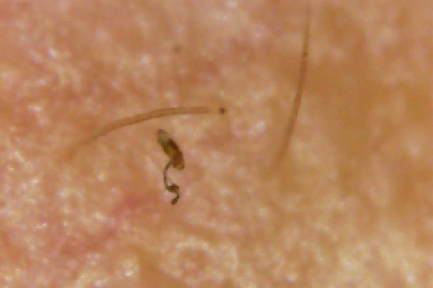 Photo on 3-10-20 at 11.14 AM.jpg