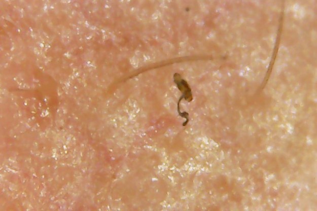 Photo on 3-10-20 at 11.15 AM.jpg