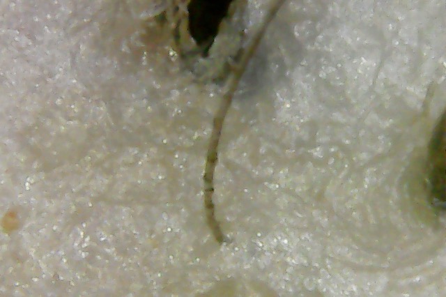 Photo on 3-12-20 at 10.34 AM.jpg