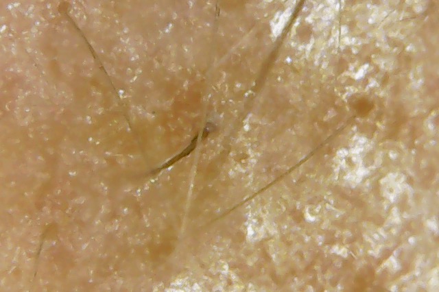 Photo on 3-4-20 at 5.47 PM.jpg