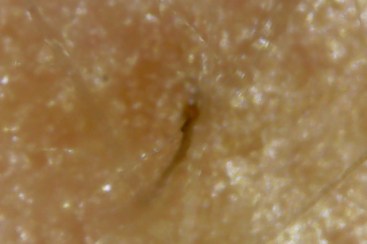 Photo on 3-4-20 at 5.48 PM #2