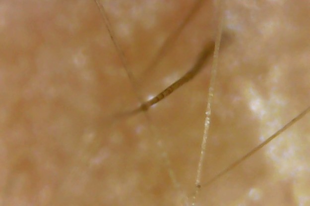 Photo on 3-4-20 at 5.48 PM #4.jpg