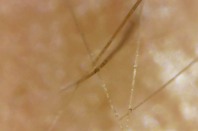 Photo on 3-4-20 at 5.49 PM #2.jpg