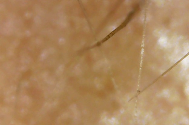 Photo on 3-4-20 at 5.49 PM #3.jpg