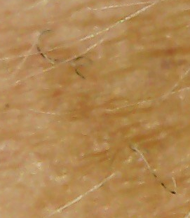 Photo on 3-9-20 at 5.55 PM