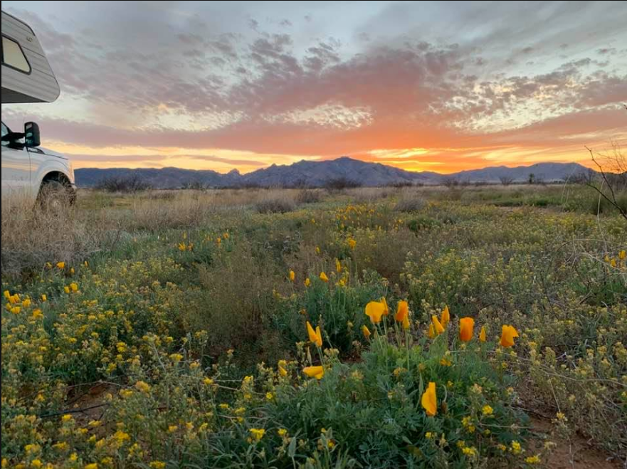 Screen Shot 2020-04-05 at 9.05.40 PM.png